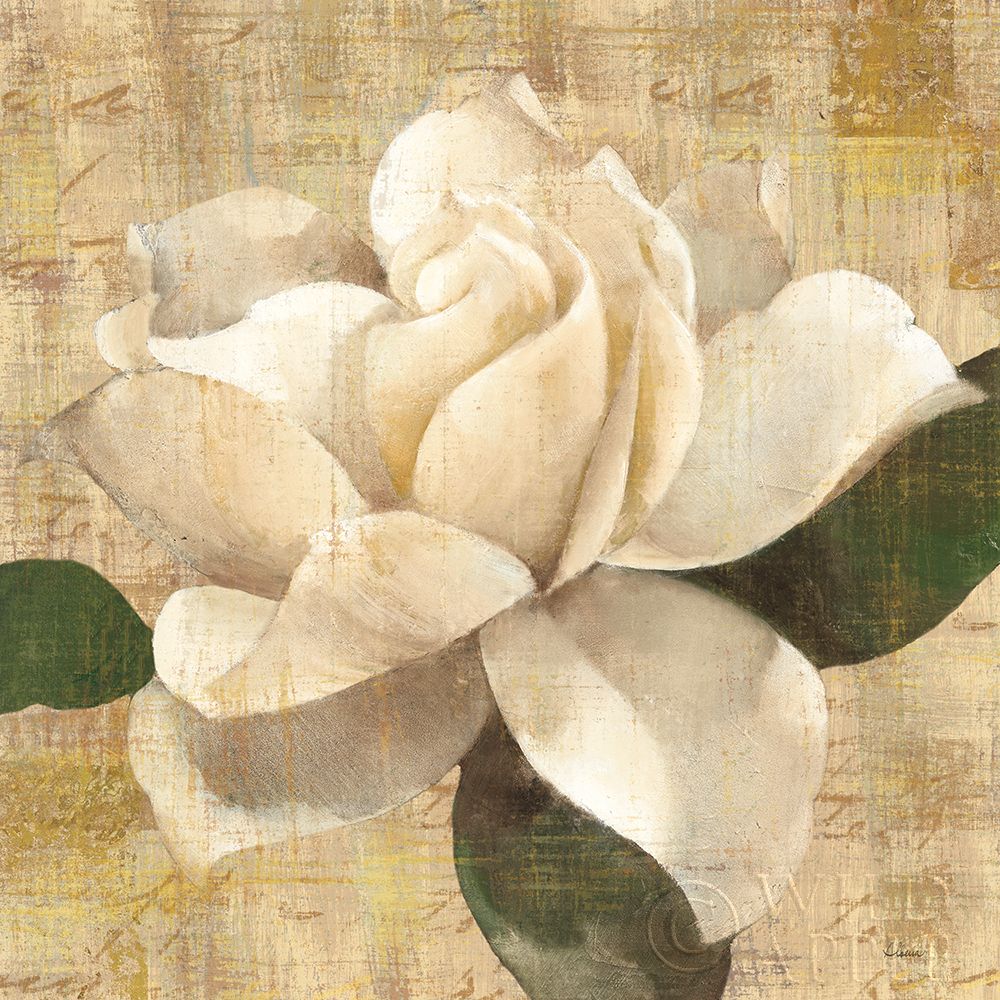 Wall Art Painting id:377911, Name: Gardenia Blossom on Script, Artist: Hristova, Albena