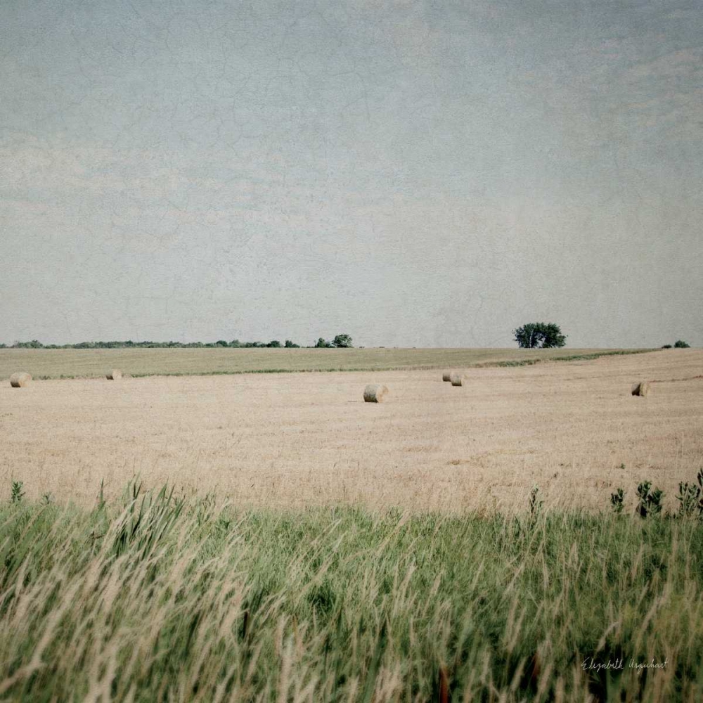 Art Print: Neutral Country II Crop 