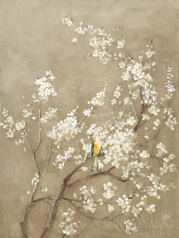 Wall art: White Cherry Blossom I Neutral Crop Bird, by Nai, Danhui
