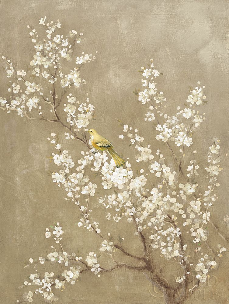 Wall art: White Cherry Blossom II Neutral Crop Bird, by Nai, Danhui