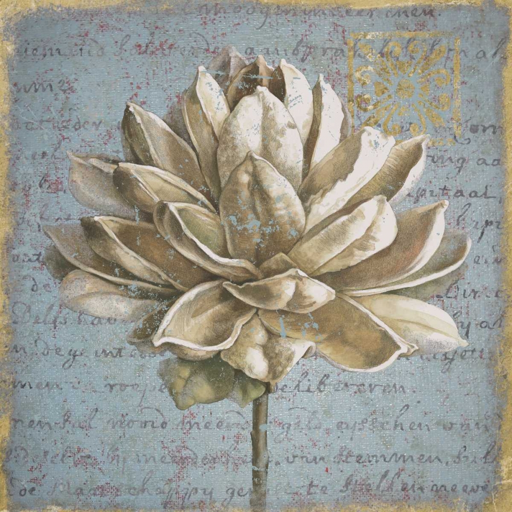 Wall Art Painting id:85064, Name: Seed Pod I, Artist: Grove, Beth