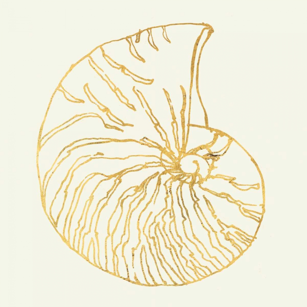 Art Print: Coastal Breeze Shell Sketches