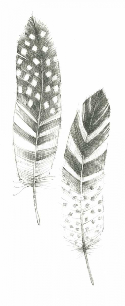Art Print: Feather Sketches VIII