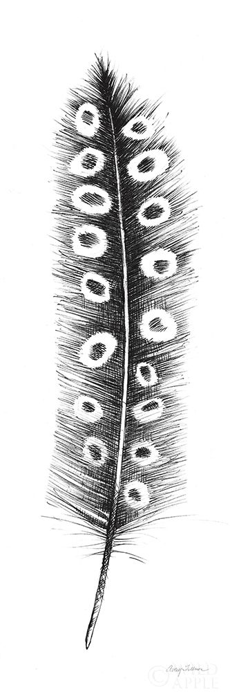 Wall Art Painting id:242453, Name: Spirit Feather VIIIa, Artist: Tillmon, Avery