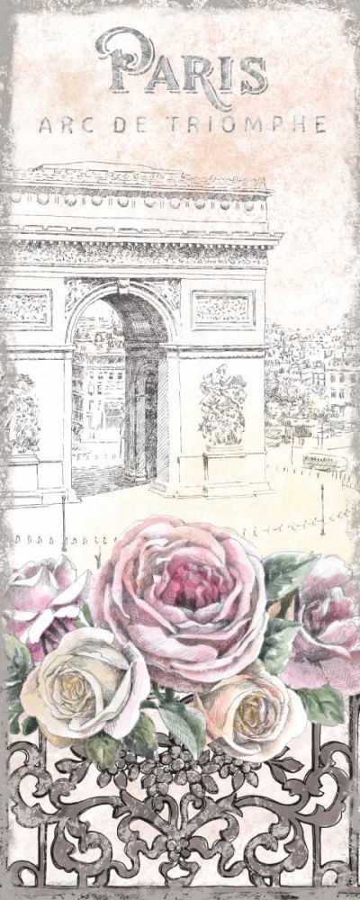 Wall Art Painting id:87131, Name: Paris Roses Panel VII, Artist: Grove, Beth
