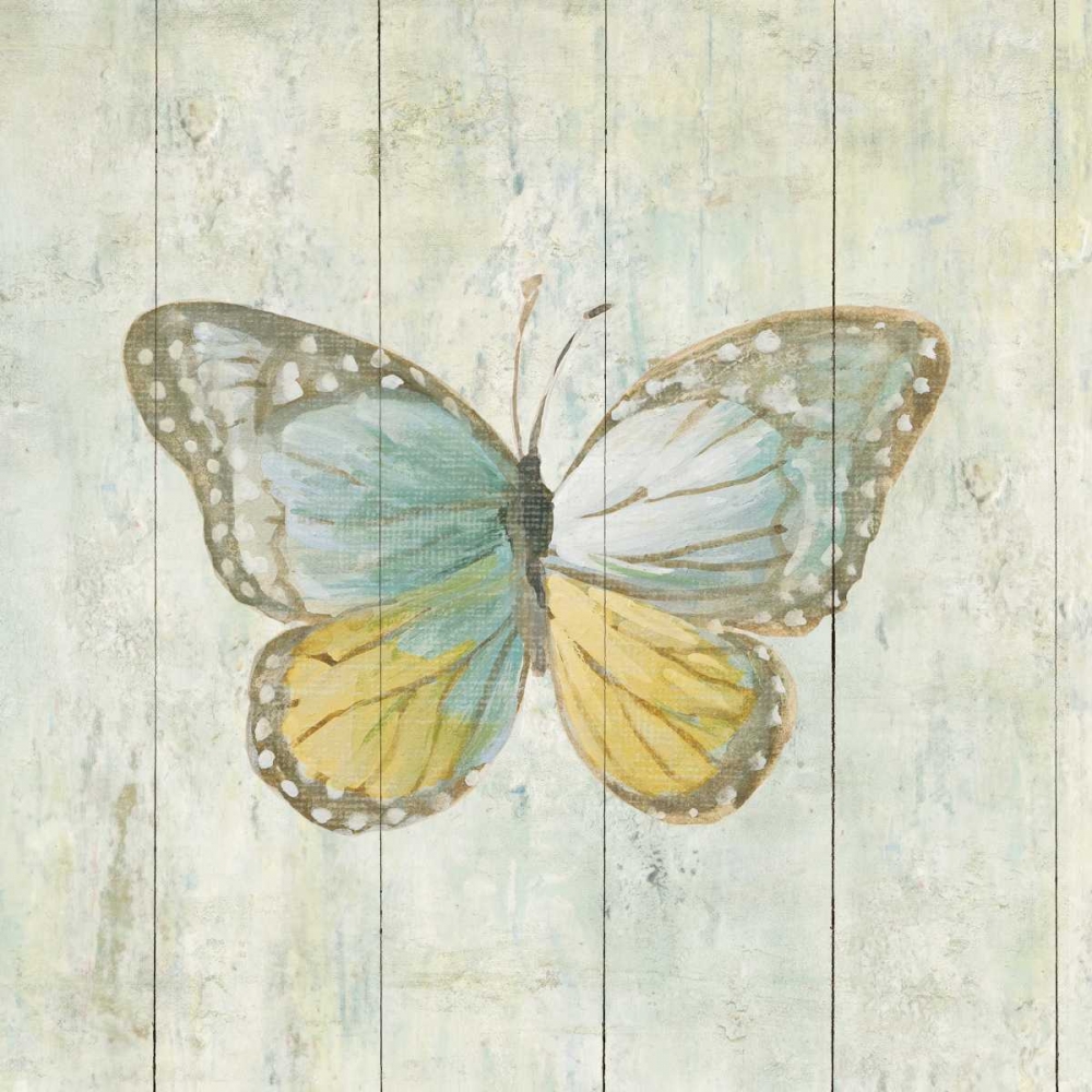 Wall Art Painting id:87172, Name: Natural Flora VI, Artist: Nai, Danhui