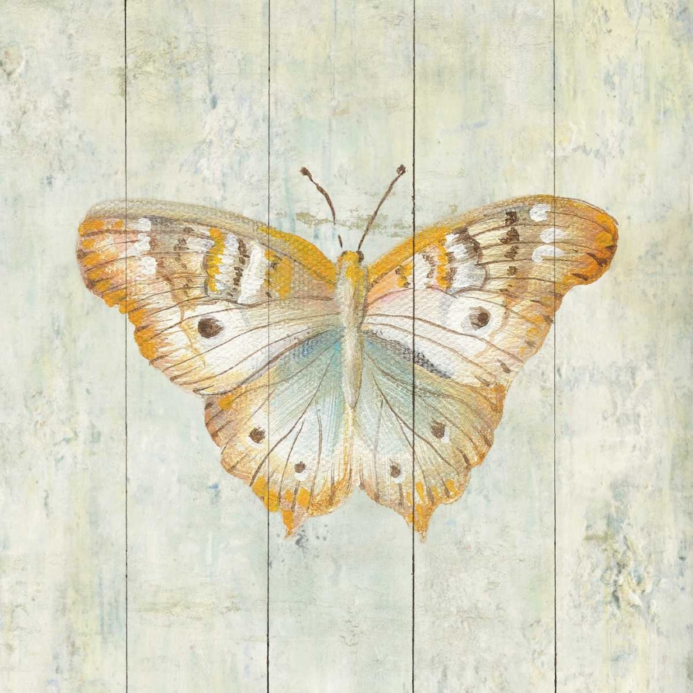 Wall Art Painting id:87173, Name: Natural Flora VII, Artist: Nai, Danhui