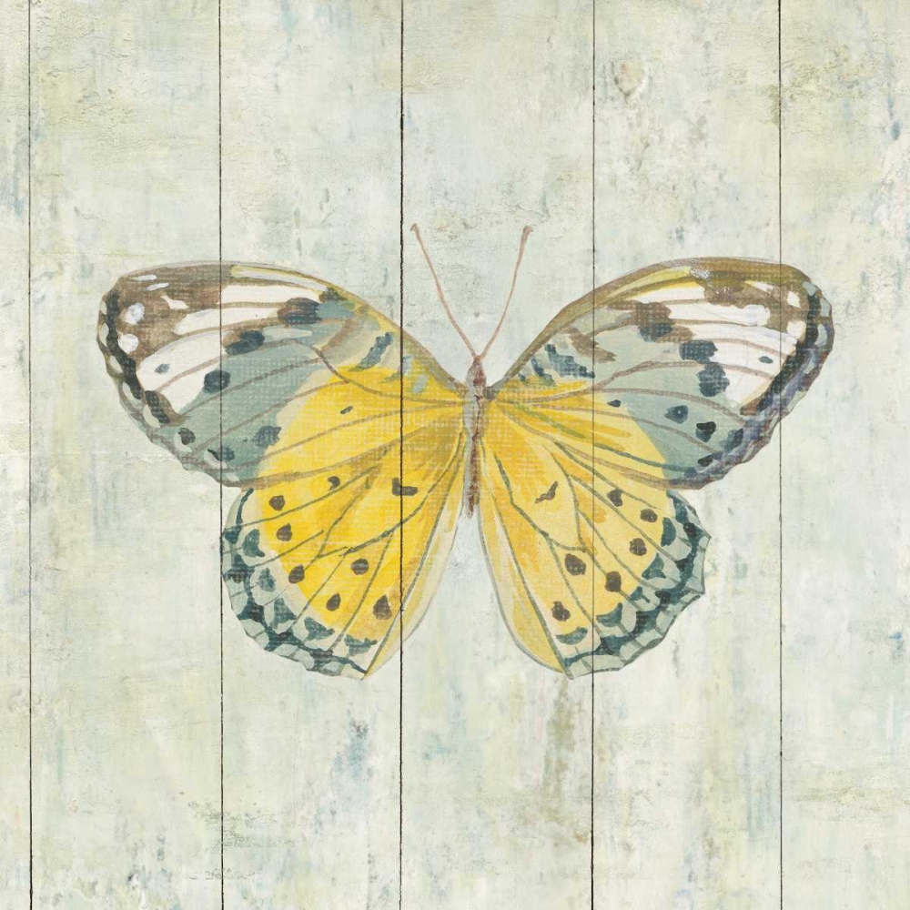 Wall Art Painting id:87175, Name: Natural Flora IX, Artist: Nai, Danhui