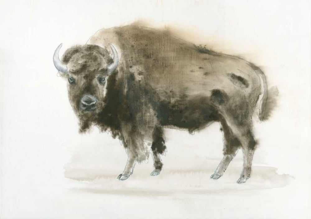 Wall Art Painting id:93379, Name: Buffalo Bill, Artist: Wiens, James