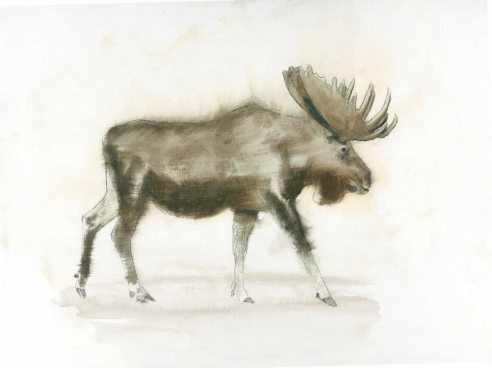 Wall Art Painting id:93380, Name: Dark Moose, Artist: Wiens, James