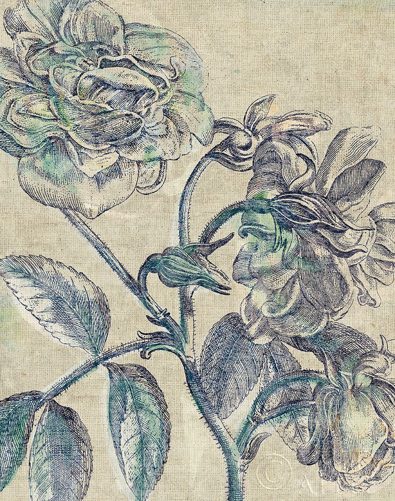 Wall Art Painting id:192949, Name: Belle Fleur I Crop Linen, Artist: Schlabach, Sue