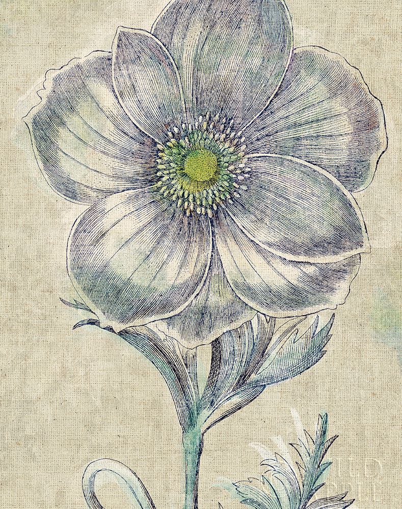 Wall Art Painting id:192950, Name: Belle Fleur II Crop Linen, Artist: Schlabach, Sue