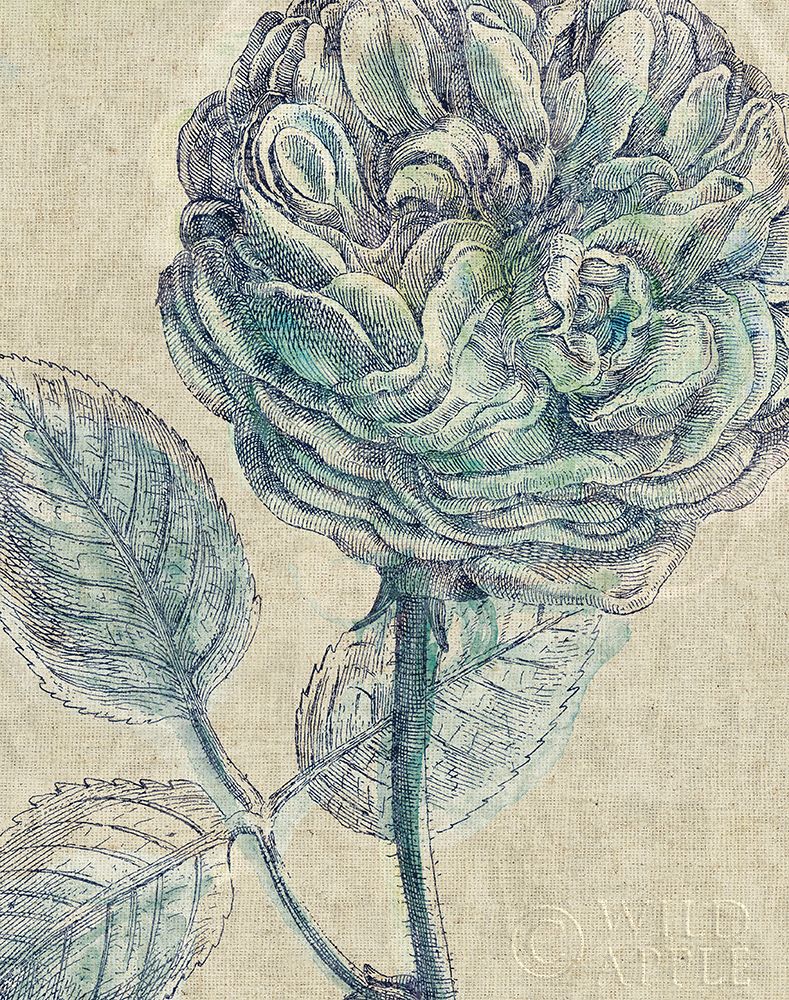 Wall art: Belle Fleur III Crop Linen, by Schlabach, Sue