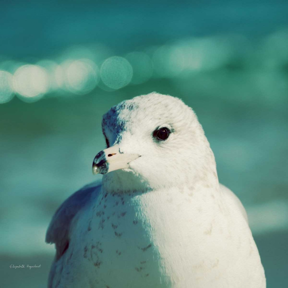 Art Print: Mint Cottage Days IV Crop