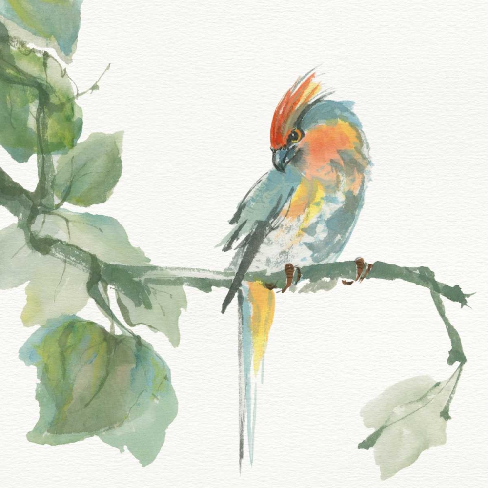 Wall Art Painting id:99471, Name: Crested Cockatoo, Artist: Paschke, Chris