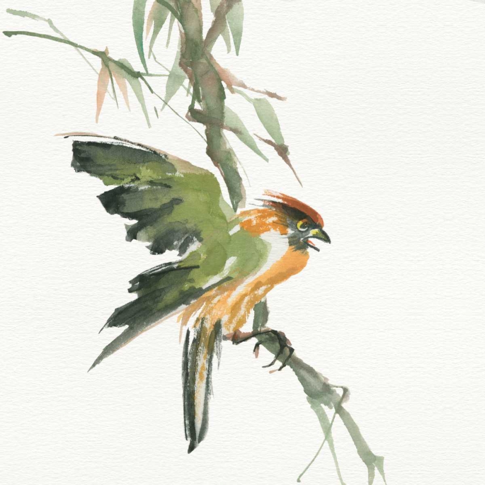 Wall Art Painting id:99474, Name: Formosan Firecrest, Artist: Paschke, Chris