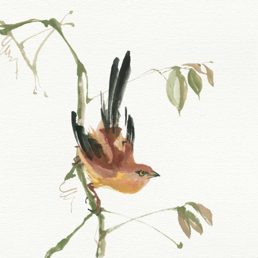 Wall Art Painting id:99475, Name: Mountain Bush Warbler, Artist: Paschke, Chris