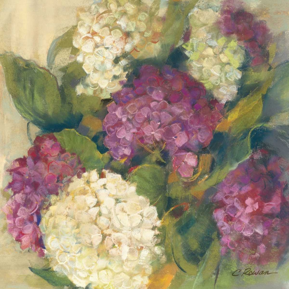 Wall Art Painting id:18614, Name: Hydrangea Delight I, Artist: Rowan, Carol