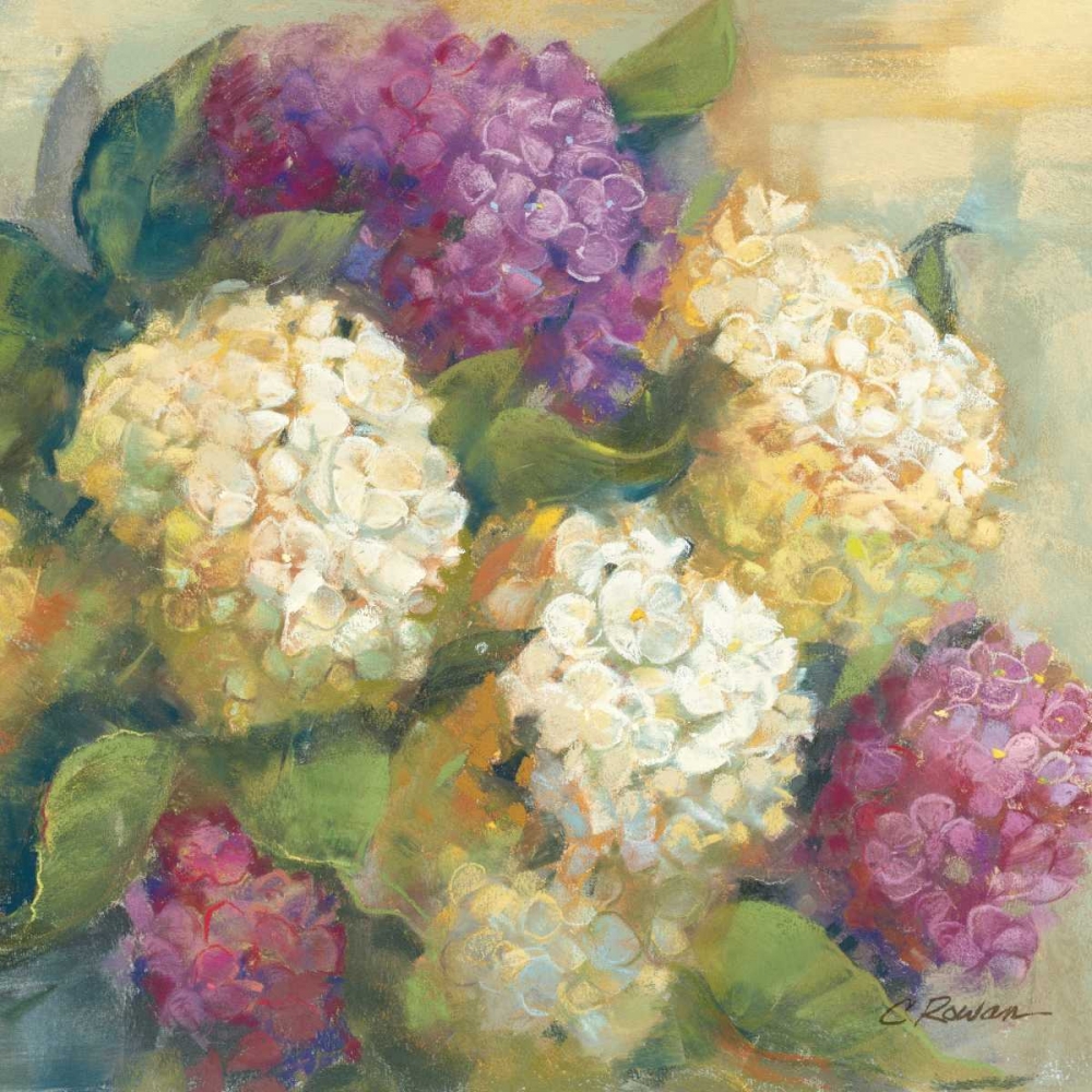Wall Art Painting id:18615, Name: Hydrangea Delight II, Artist: Rowan, Carol