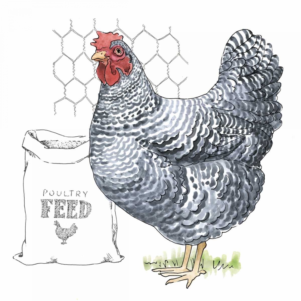 Wall Art Painting id:99529, Name: Fun at the Coop III v2, Artist: Grove, Beth