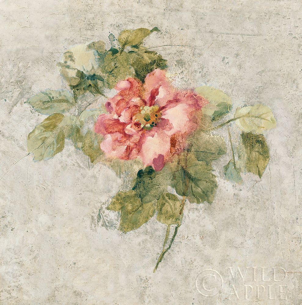 Wall art: Provence Rose II Red and Neutral, by Blum, Cheri