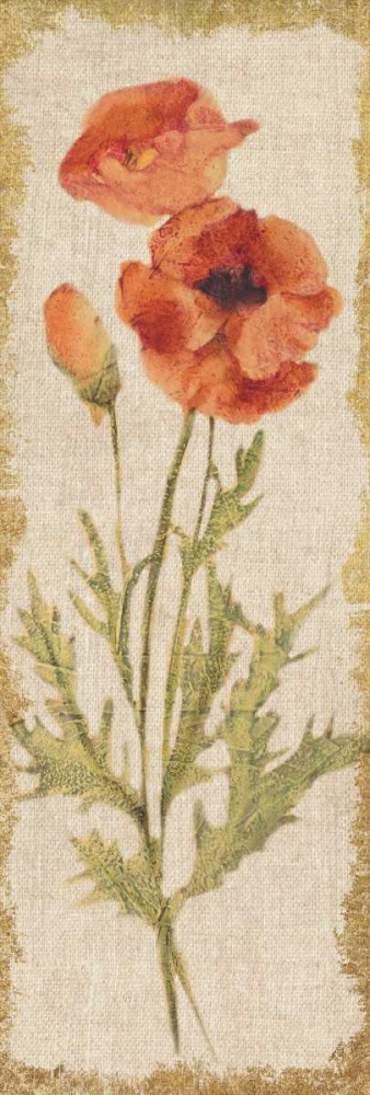 Wall Art Painting id:156297, Name: Poppy Panel on White Vintage, Artist: Blum, Cheri