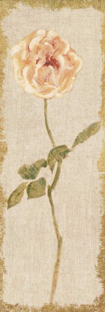 Wall Art Painting id:156298, Name: Pale Rose Panel on White Vintage, Artist: Blum, Cheri