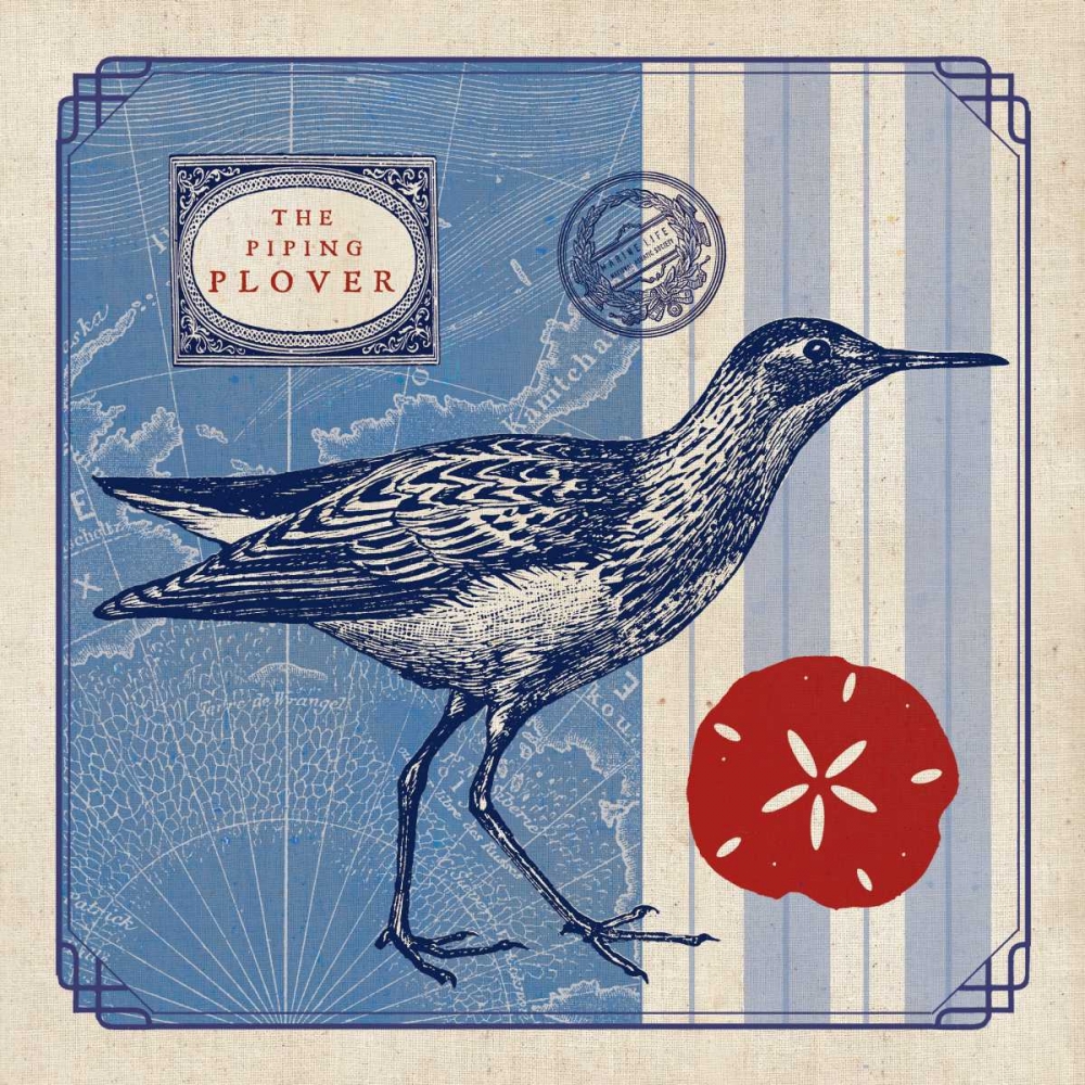 Art Print: Sea Bird I