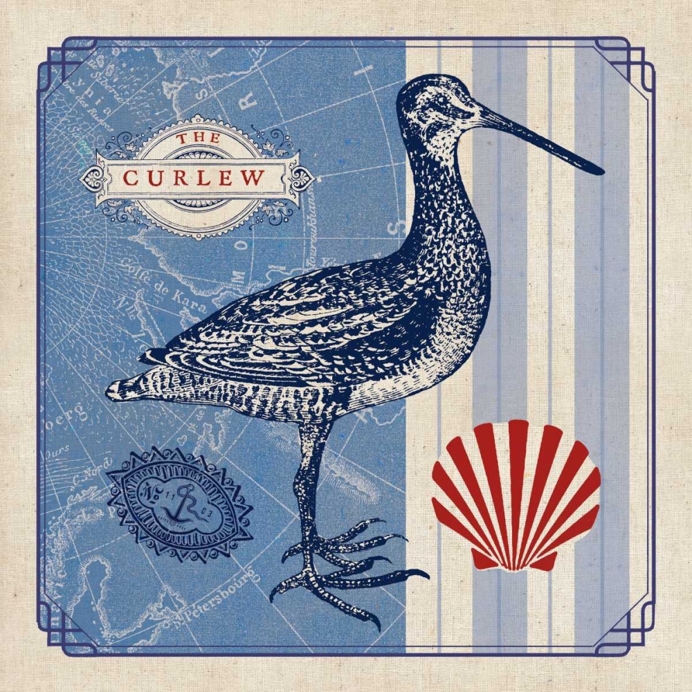 Art Print: Sea Bird III