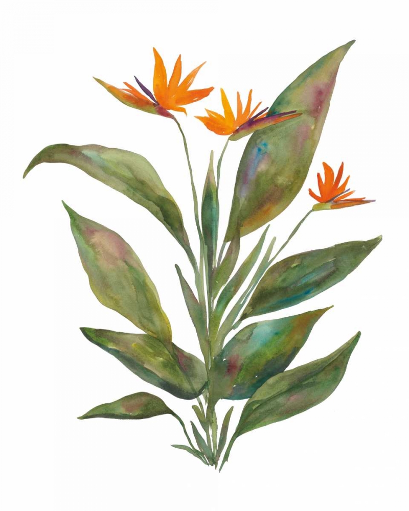 Art Print: Bright Bromeliad