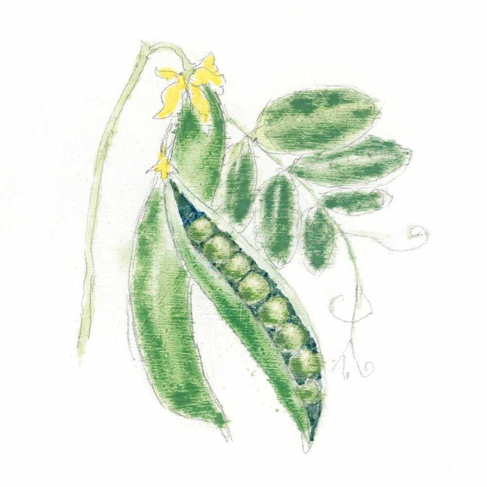 Art Print: Garden Delight XI