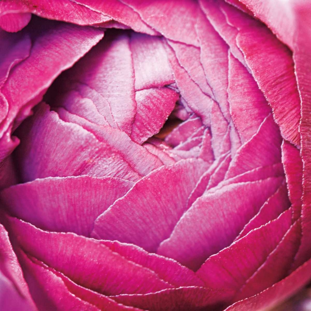 Similar wall art painting: 118926