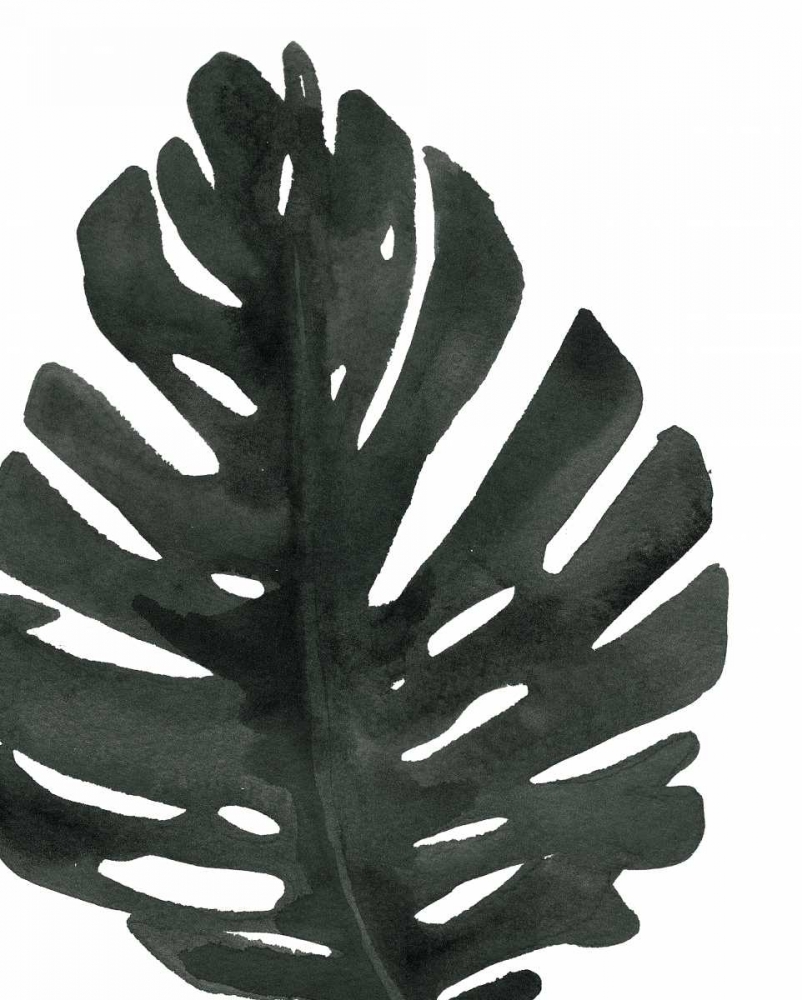 Wall Art Painting id:174906, Name: Tropical Palm I BW, Artist: Wild Apple Portfolio