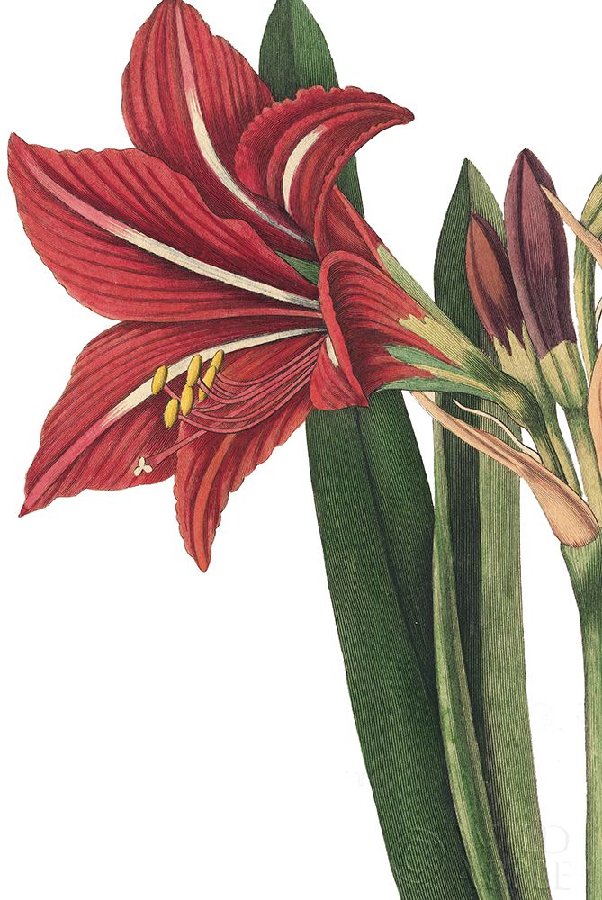 Similar wall art painting: 192995