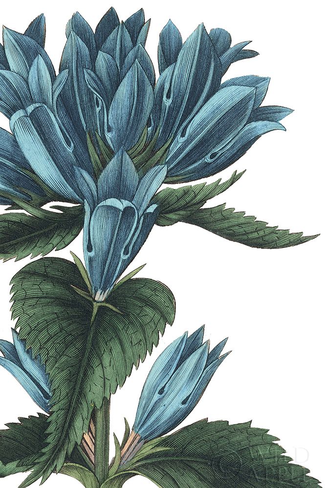 Similar wall art painting: 192996