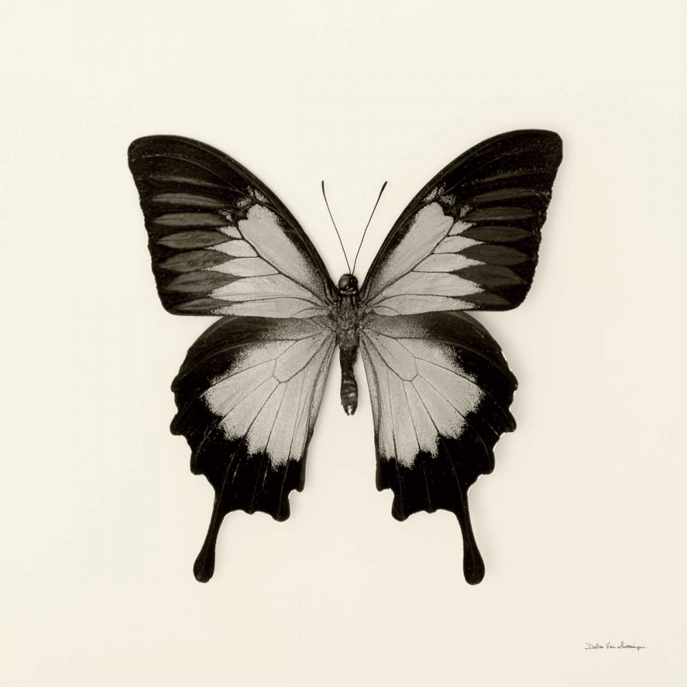 Art Print: Butterfly III BW Crop