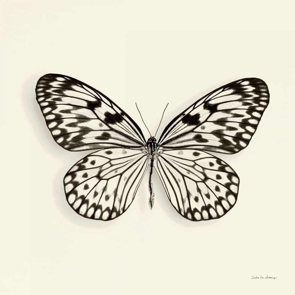 Art Print: Butterfly V BW Crop