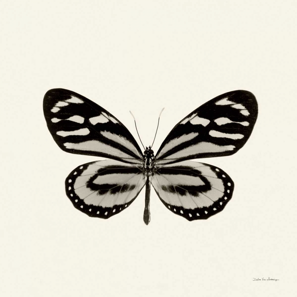 Art Print: Butterfly VIII BW Crop