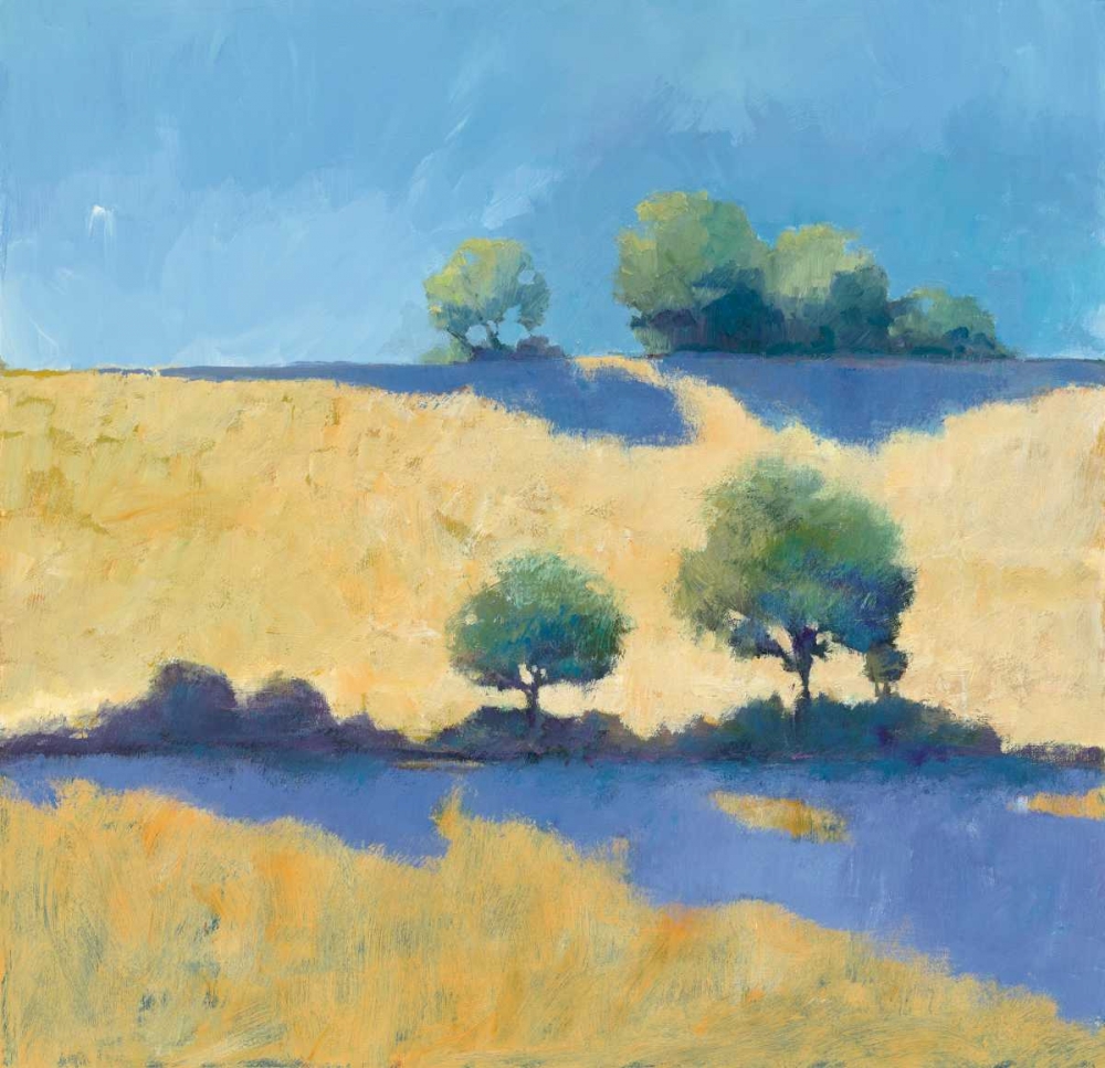 Wall Art Painting id:129493, Name: Shadows, Artist: Tillmon, Avery