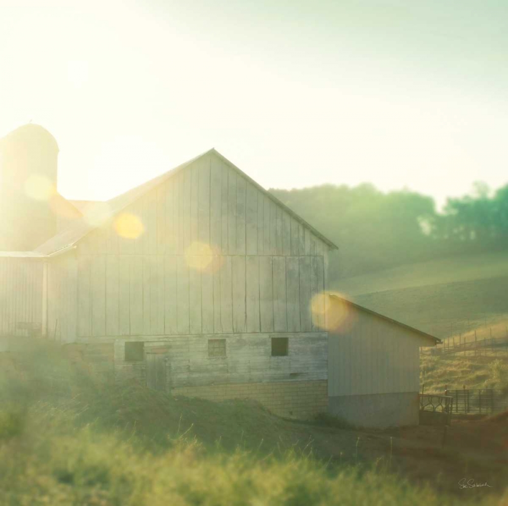 Wall Art Painting id:129450, Name: Farm Morning II Square, Artist: Schlabach, Sue