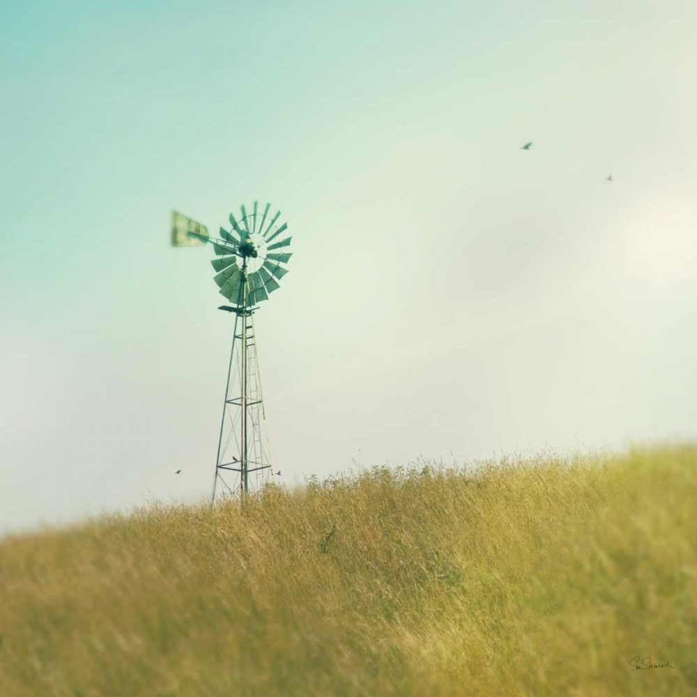 Wall Art Painting id:129452, Name: Farm Morning IV Square, Artist: Schlabach, Sue