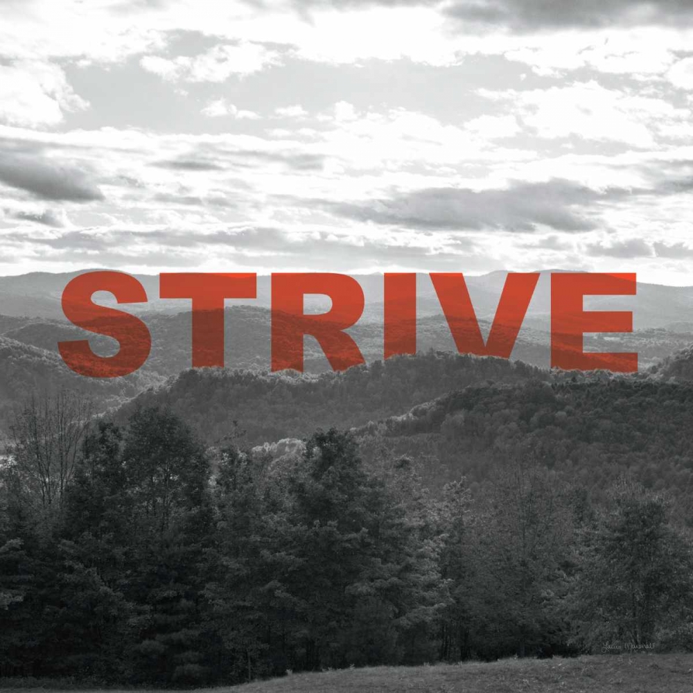 Art Print: Bold Adventures VI