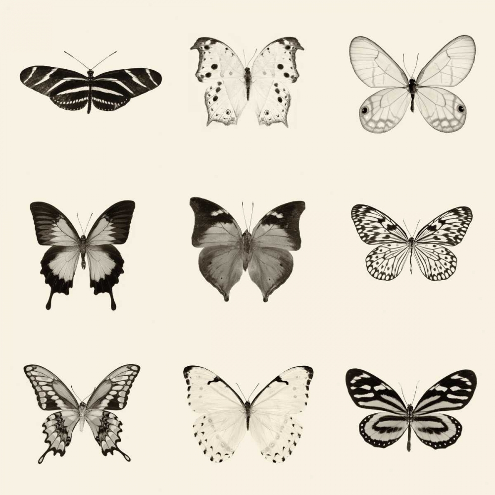 Art Print: Butterfly BW 9 Patch