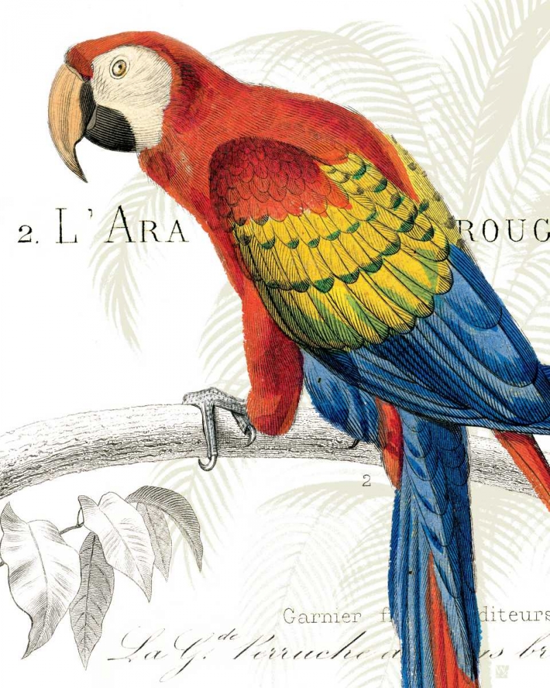 Wall Art Painting id:18524, Name: Parrot Botanique II, Artist: Wild Apple Portfolio