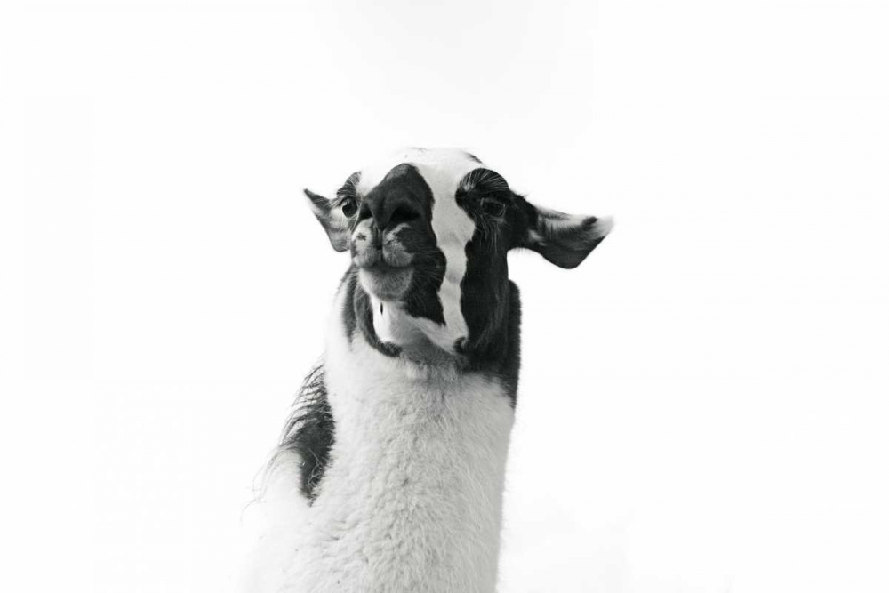 Similar wall art painting: 149130