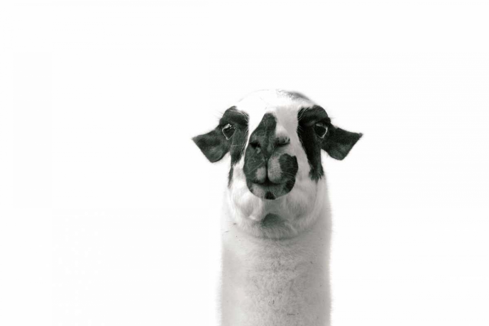 Similar wall art painting: 149131