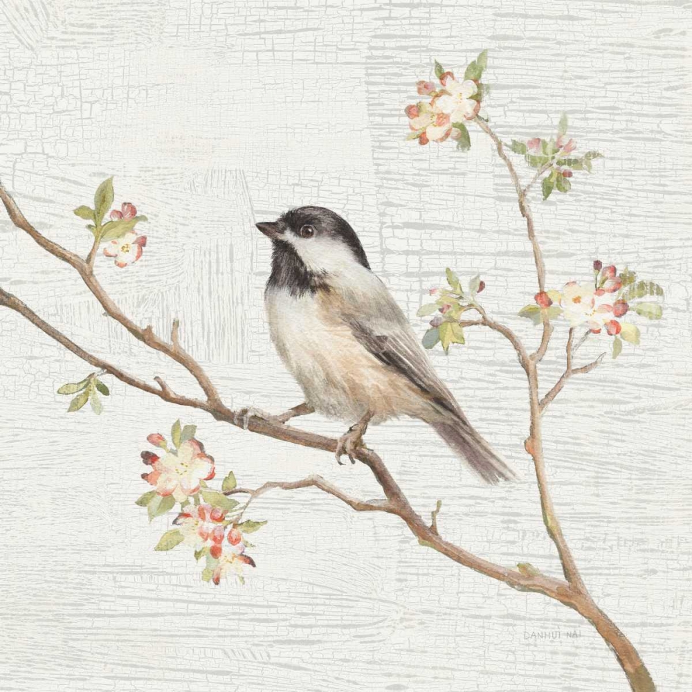 Art Print: Black Capped Chickadee Vintage