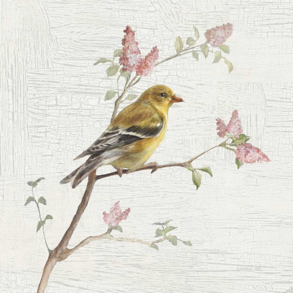 Wall Art Painting id:149098, Name: Female Goldfinch Vintage, Artist: Nai, Danhui