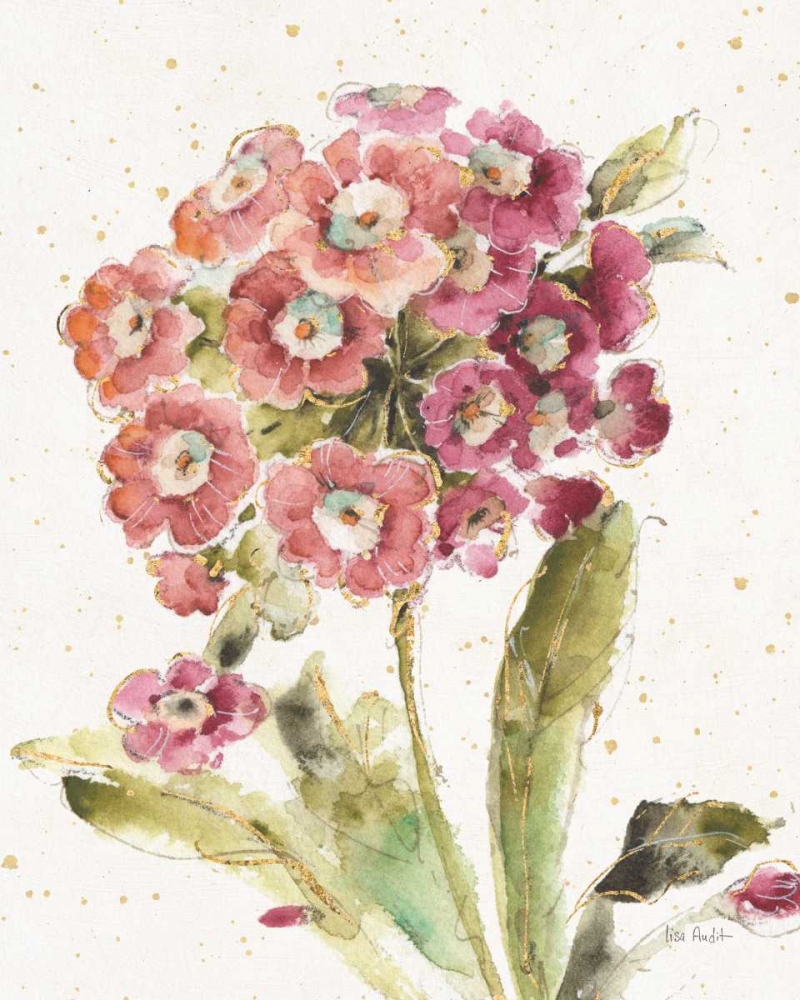 Wall Art Painting id:157762, Name: Country Bloom II, Artist: Audit, Lisa