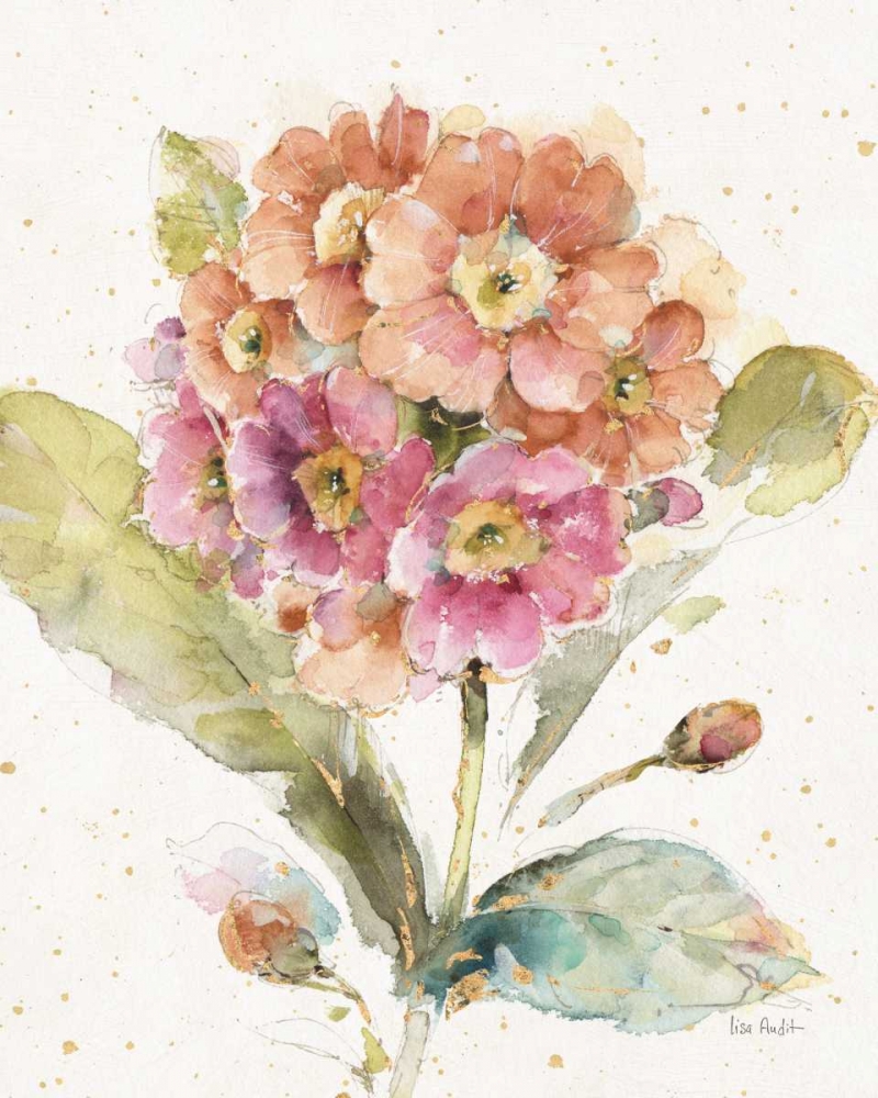 Wall Art Painting id:157760, Name: Country Bloom III, Artist: Audit, Lisa